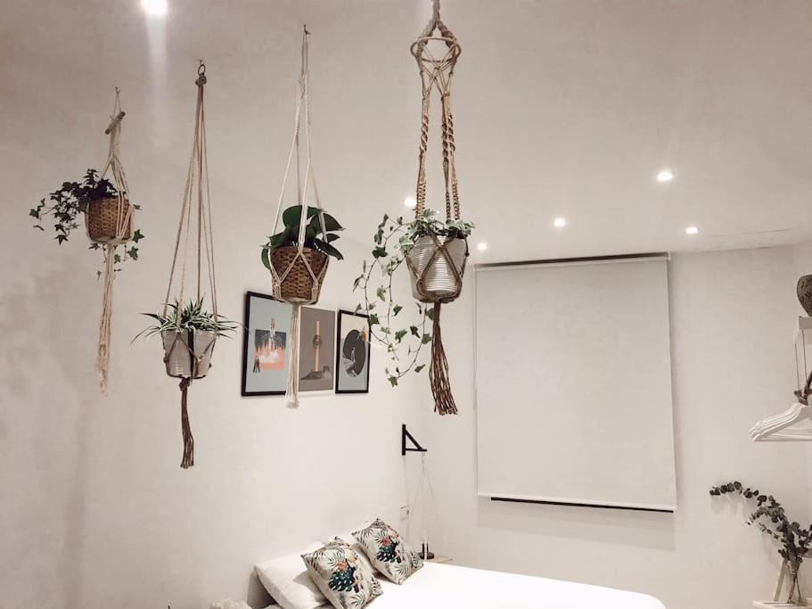 Apartament Puerta Del Camino 6